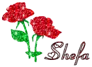 Flower with name shefa