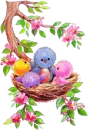 little birds