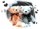 lovely bears