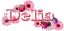 Delia  ... ladybugs
