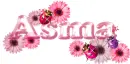 Asma ... ladybugs