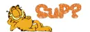 Sup? (garfield)