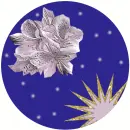 Astro