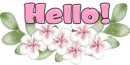 Hello!