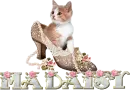 Madaisy