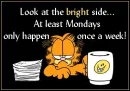 Garfield Monday