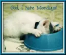 Hate Mondays