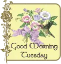Tuesday Morning