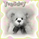 Tuesday Bear