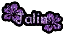 Jalin