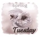 Spring Tuesday
