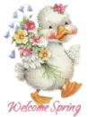 SPRING DUCK
