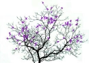 Birds in a Tree