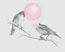 Bubble Gum Birds