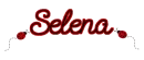 Selena ladybug