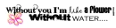 without you 