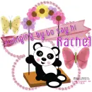 panda on a swing