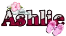 Sea Shell & Pink Slipper: Ashlie