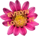 evelyn loves it