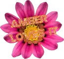 amber loves it