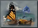 butterfly