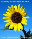 Sunshine