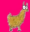 Llama