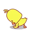 cute chicken