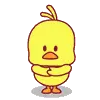 cute chicken