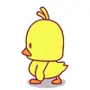 cute chicken