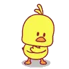 cute chicken