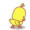cute chicken