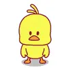 cute chicken