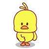 cute chicken