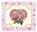 pink roses