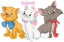kittens with name kainath
