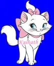 marie cat with name kainath