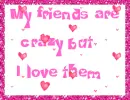  My friends are crazy but I love them