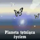 Planet