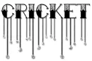 dangle diamonds cricket
