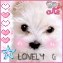 Doggie