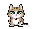 cute cat