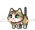 cute cat