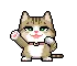 cute cat