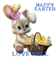 Baby Bunny
