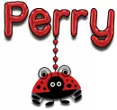 ladybug perry