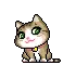 cute cat