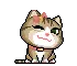 cute cat