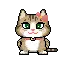 cute cat