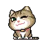 cute cat